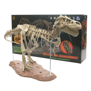 Large Dinosaur Fossil Skull Animal Model Toys